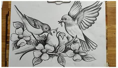 Birds And Flowers Drawings Birds And Flowers Drawings