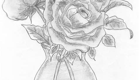 Pencil Drawings Of Flowers In A Vase 19+ Flower , rt Ideas, Sketches Design Trends