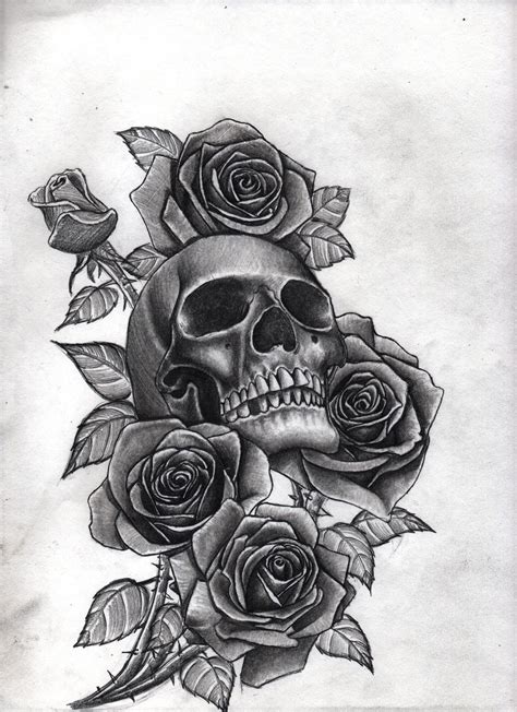 Skull and Roses Drawing by Hae Kim