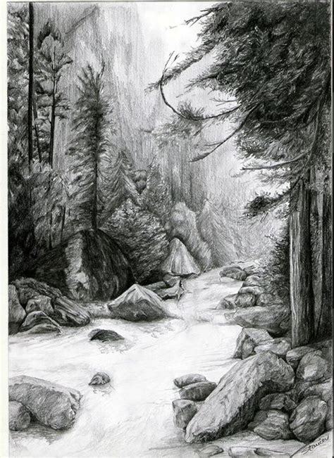 Pencil Drawing Of Forest