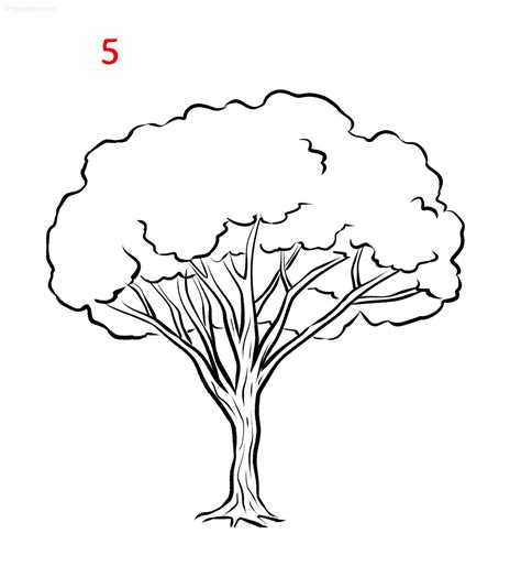 pencil drawing tree