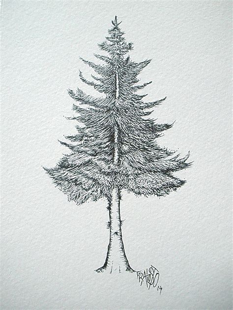 pencil drawings of pine trees