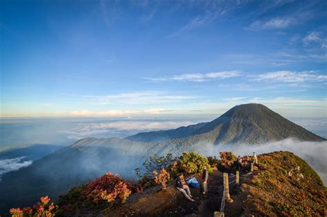 pendaftaran pendakian gunung gede