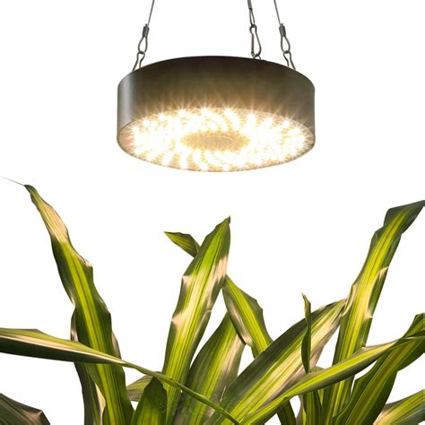 Pendant Grow Light