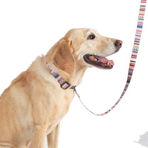 Pendleton Dog Collar And Leash