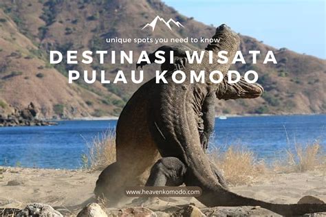 Pengalaman Wisata Taman Nasional Komodo