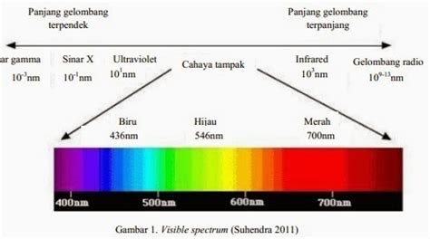 Pengaruh Warna Cahaya