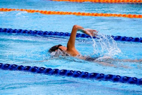 pengenalan air dalam olahraga renang