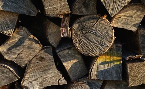 pengeringan kayu secara alami