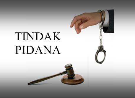 pengertian tindak pidana pdf