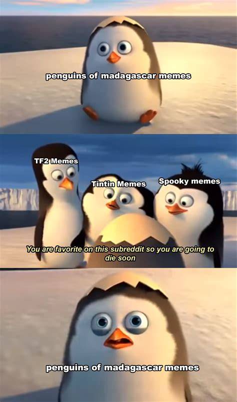 Penguins of madagascar memes are going crazy invest now MemeEconomy
