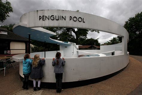 London Penguin Pool, London Zoo (UK) STEPHENVARADY_ARCHITRAVELLER