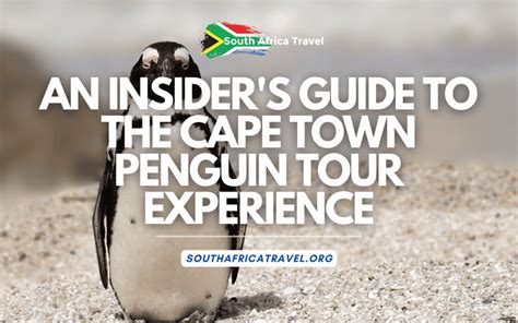penguin tour guide