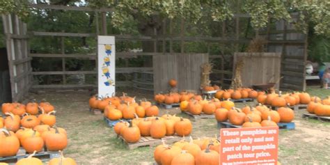 Penman Road Pumpkin Patch