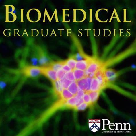 Penn BGS Graded Sports Cards