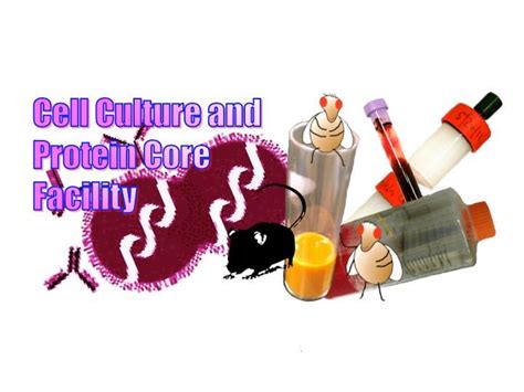 Penn Cell Center Information