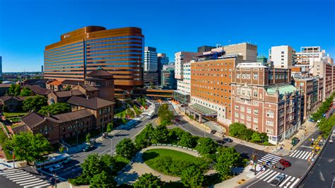 5 Ways Penn Immunology