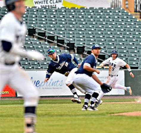 penn state scranton baseball