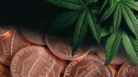 penny marijuana stocks to buy