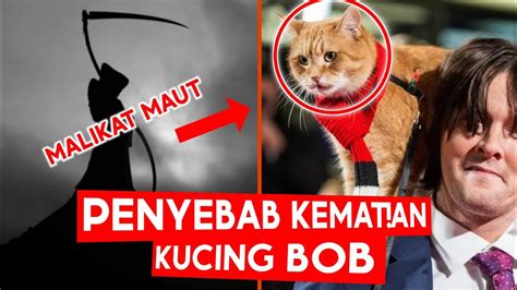 BOB Kucing penyelamat pecandu narkoba meninggal YouTube