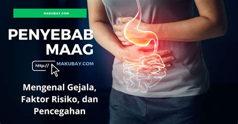 Penyebab Maag