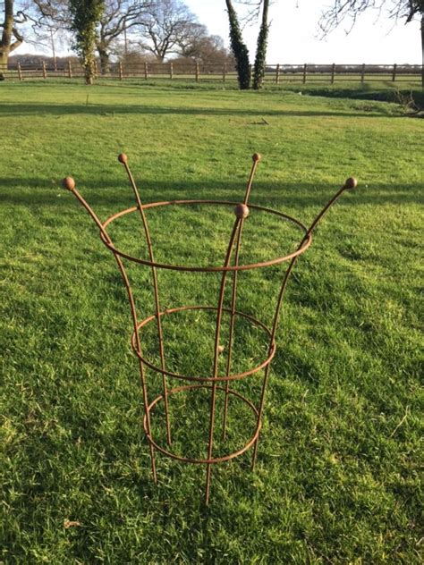 Peony Support Rings Uk