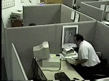 people breaking their monitors