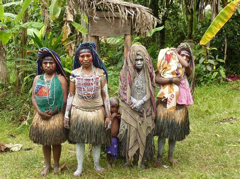 people living in forest