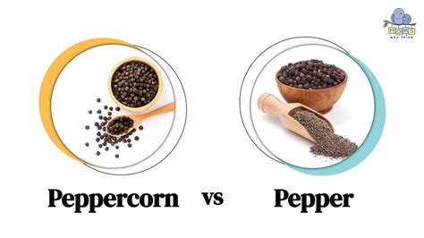 Pepper And Peppercorn Difference