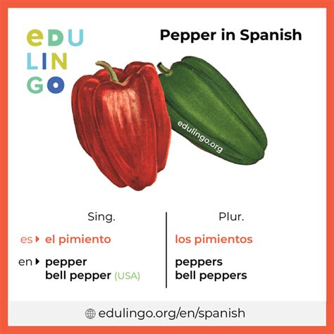 Pepper In Spanish Language