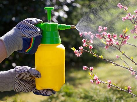 Pepper Spray For Fruit Trees