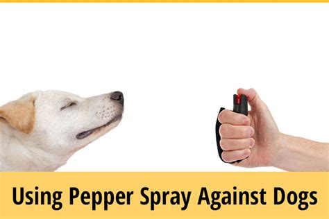 Pepper Spray Kills Dog