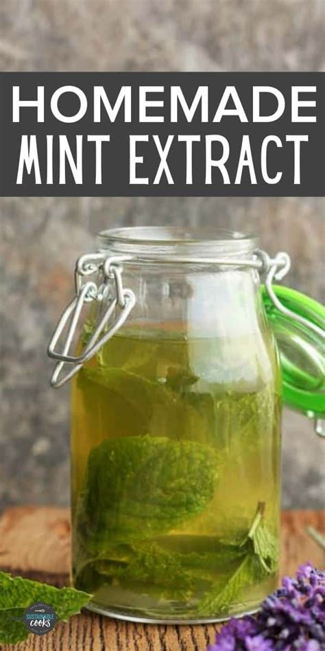 Peppermint Extract Homemade
