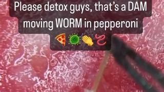 Pepperoni Under A Microscope