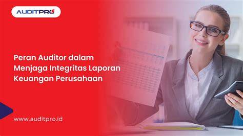 peran auditor