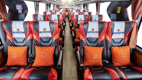 Panduan Lengkap Perbedaan Bus VIP dan Eksekutif Rosalia Indah