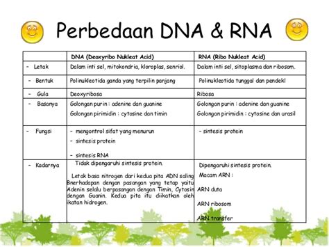 Perbedaan DNA dan RNA dalam Bentuk Tabel: Informasi Lengkap