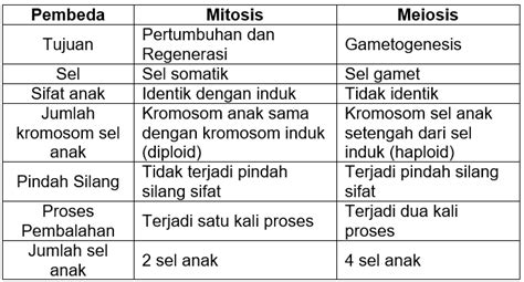 Perbedaan Mitosis dan Meiosis dalam Bentuk Tabel