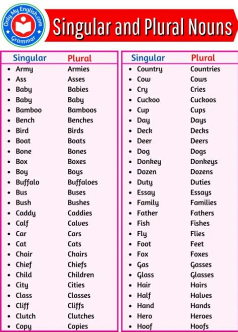 perbedaan plural dan singular