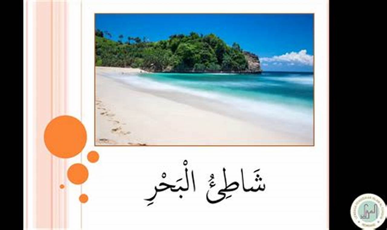 Percakapan Bahasa Arab Tentang Liburan Ke Pantai