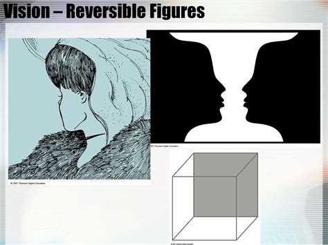 Perception Reversible Figure Experiment Introduction
