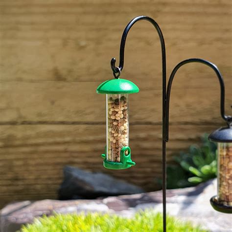Perch Bird Feeder