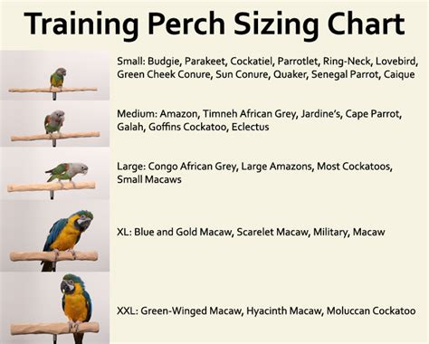 perch sizing for birds
