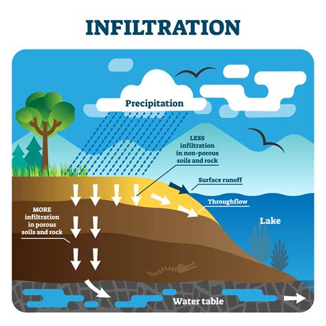 percolation definition geography water cycle