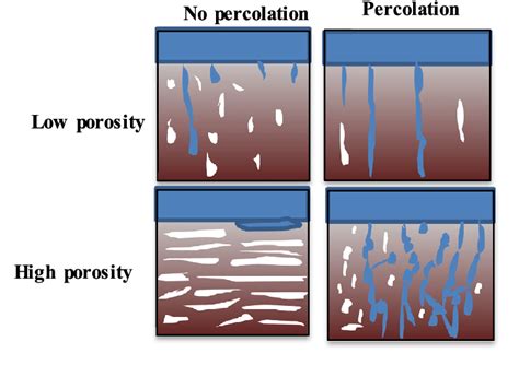 percolation meaning in geography