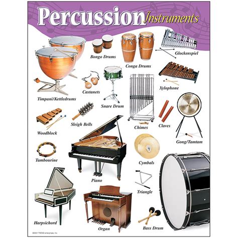 Percussion Instrument Lesson