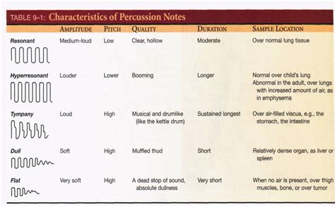 Percussion Sound Are