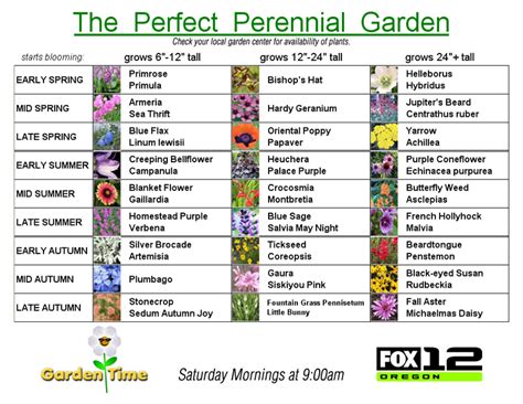 perennial plant care guide