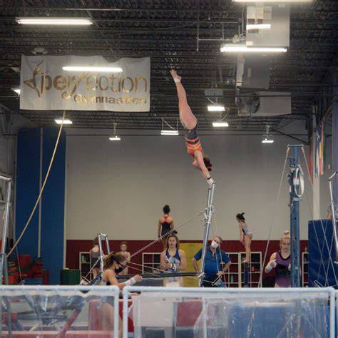 Perfection Gymnastics Higher Level Art