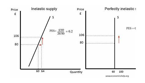 Perfectly Inelastic Supply And Demand PPT The Elasticity Of PowerPoint Presentation